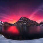VERIDICAL NEAR-DEATH EXPERIENCE CASE